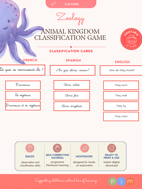 10. Jeu de classification du Règne Animal