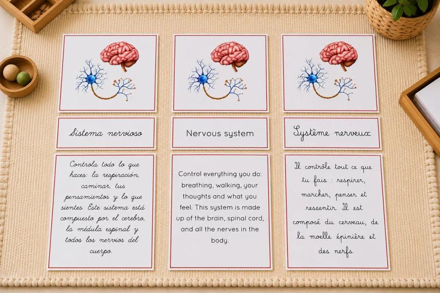 Ressources trilingues — espagnol, français, anglais