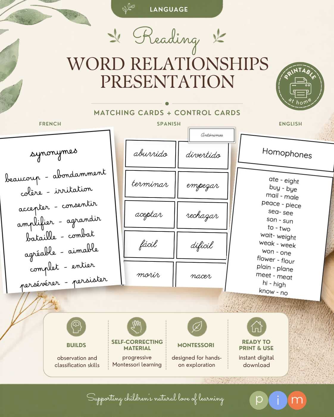 14. Synonymes, antonymes, homophones, homographes