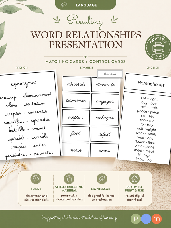 14. Synonymes, antonymes, homophones, homographes