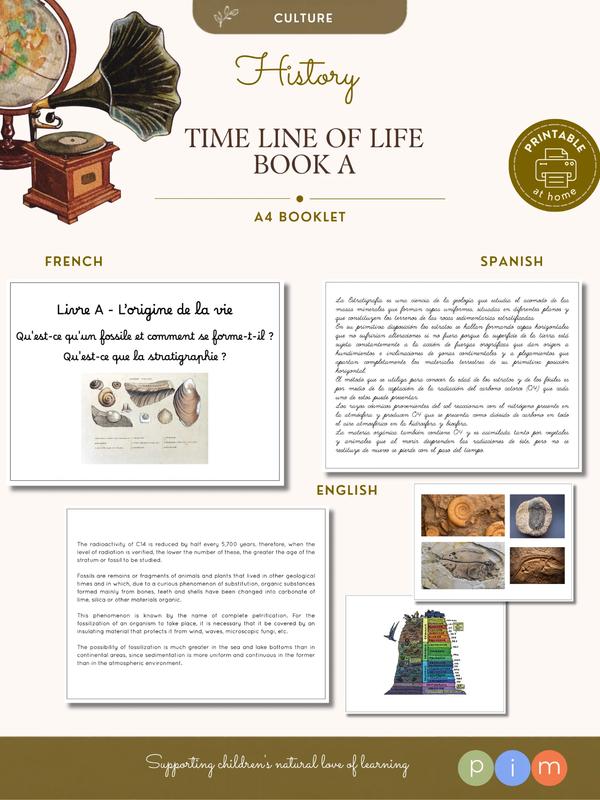10. Livre de la Ligne de la Vie – Stratigraphie