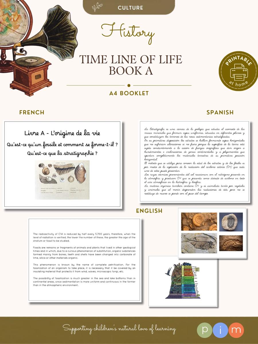 10. Line of life book - Stratigraphy