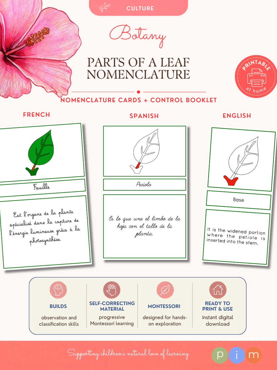 03. Leaf Nomenclature