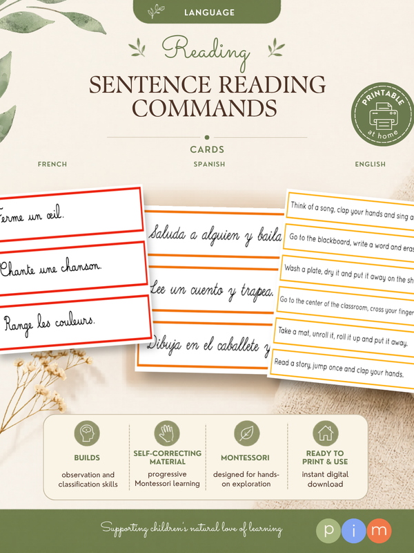 13. Lecture de phrases
