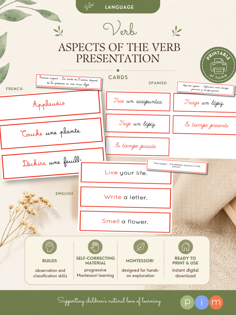 24. Aspects du verbe
