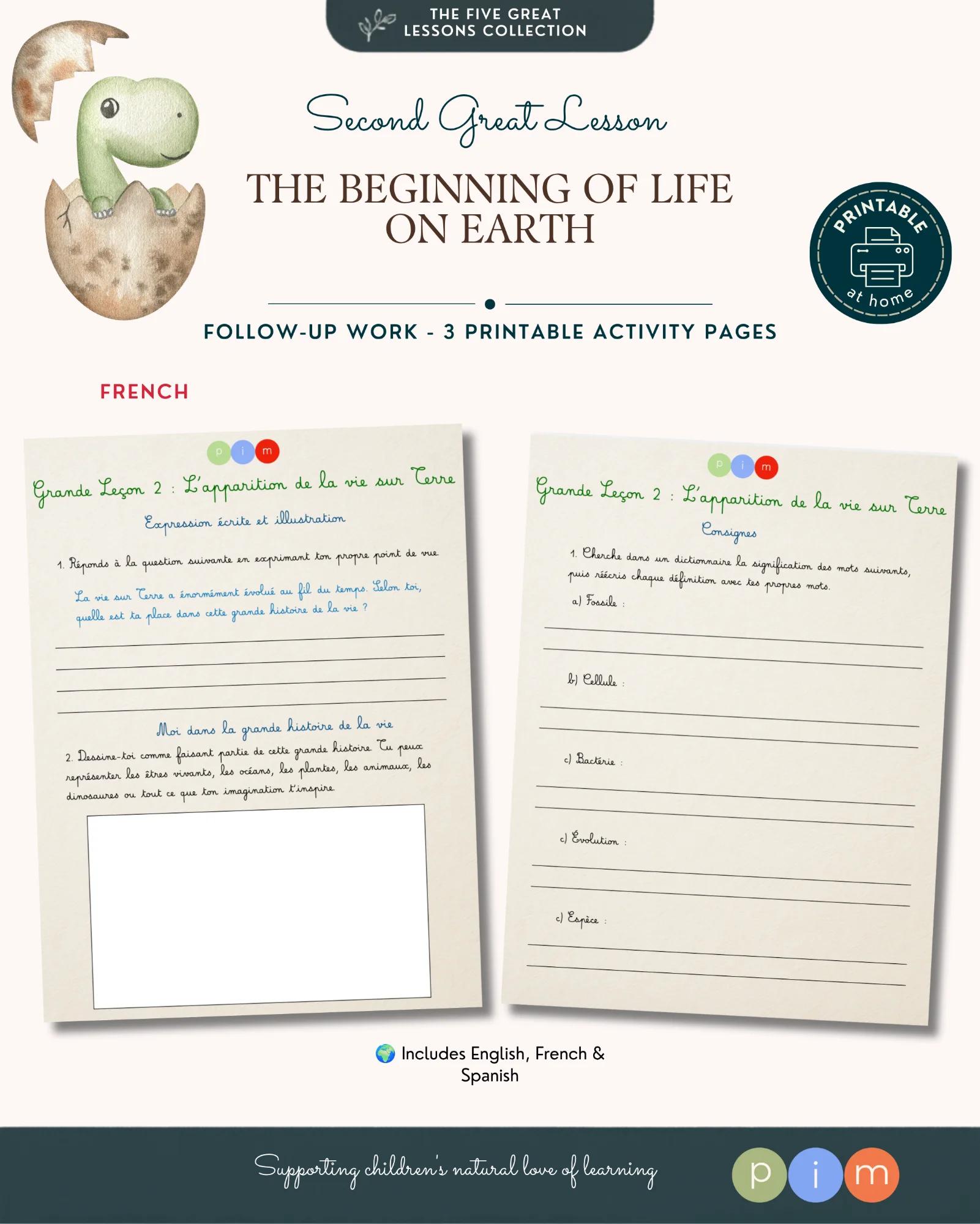 2. The Beginning of Life on Earth