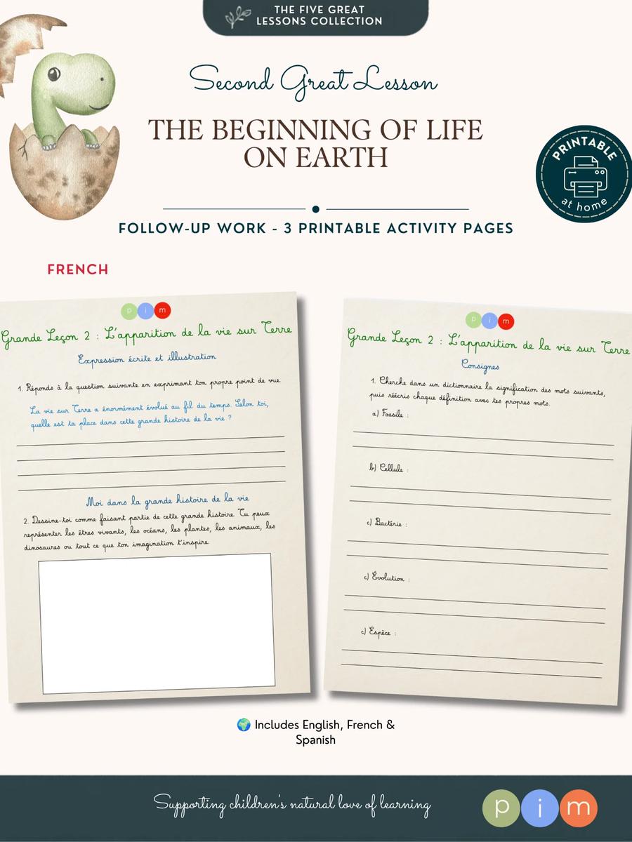 2. The Beginning of Life on Earth