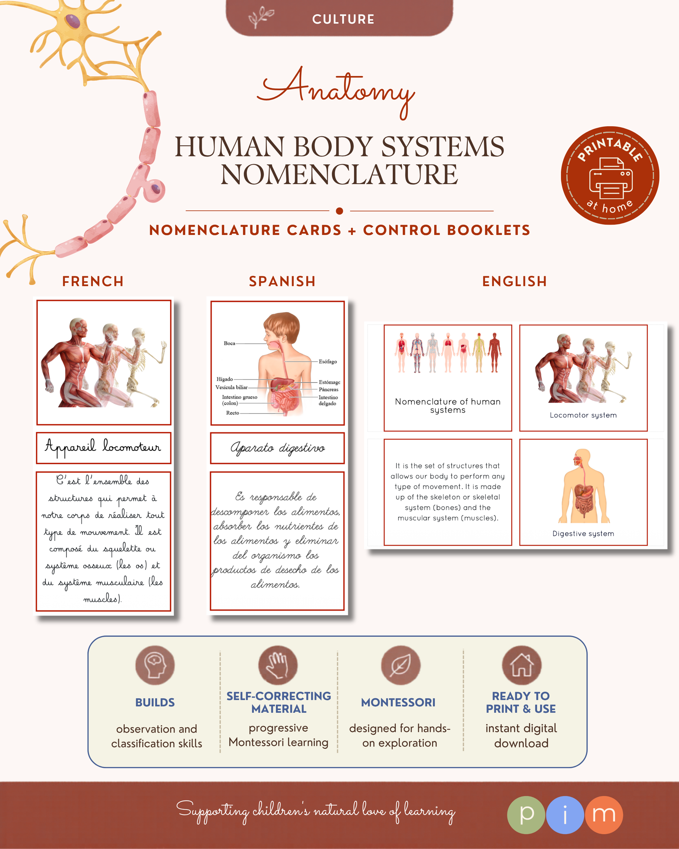 02. Nomenclatura de los Aparatos del Cuerpo Humano