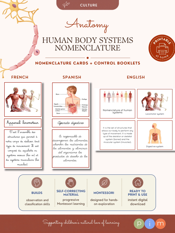 02. Nomenclatura de los Aparatos del Cuerpo Humano