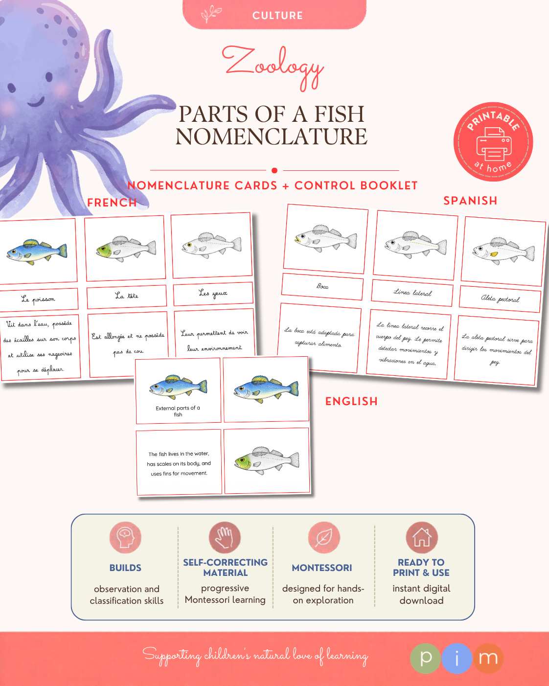 05. Nomenclature · Parties Externes des Poissons