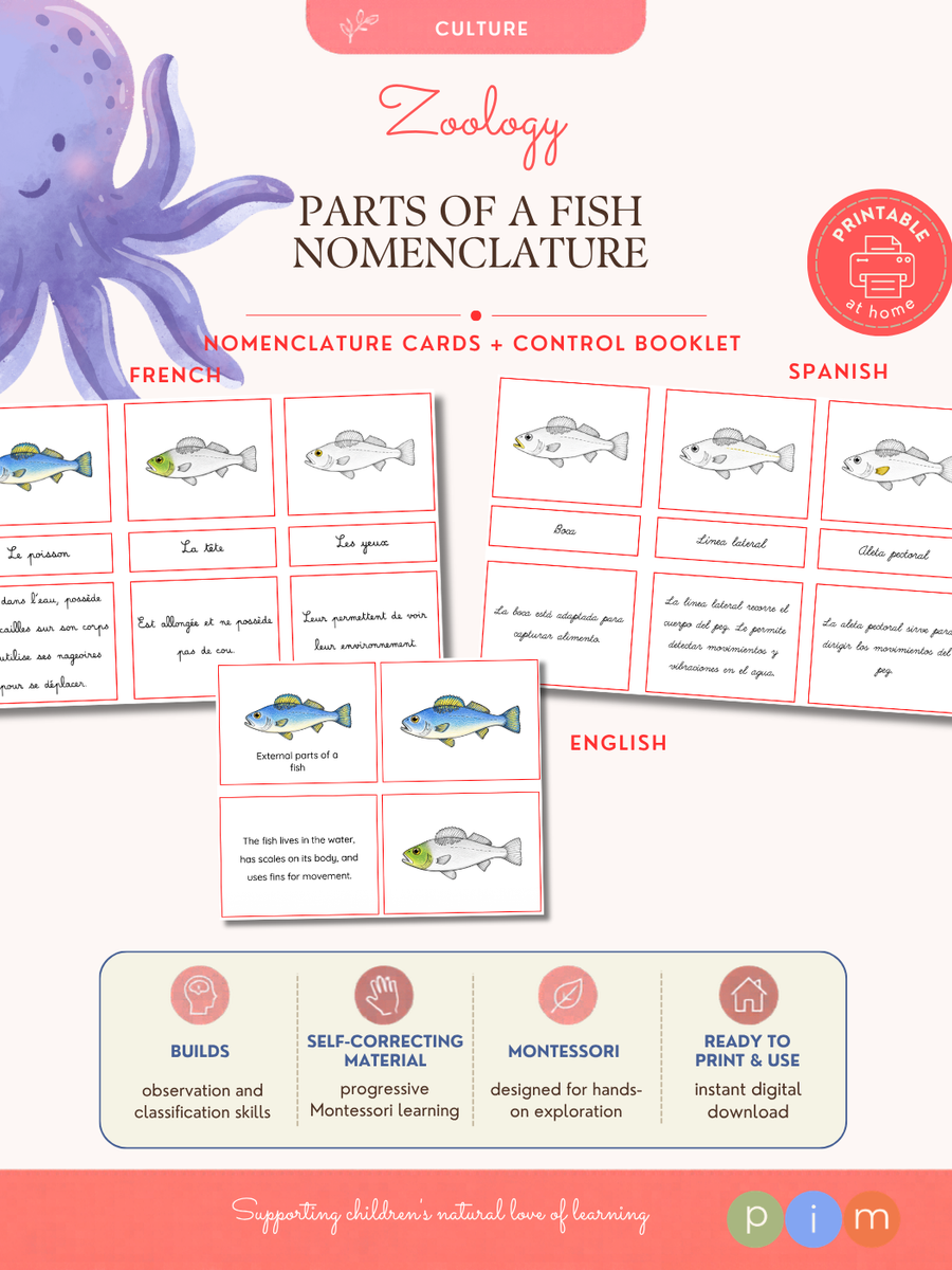 05. Nomenclature · Parties Externes des Poissons