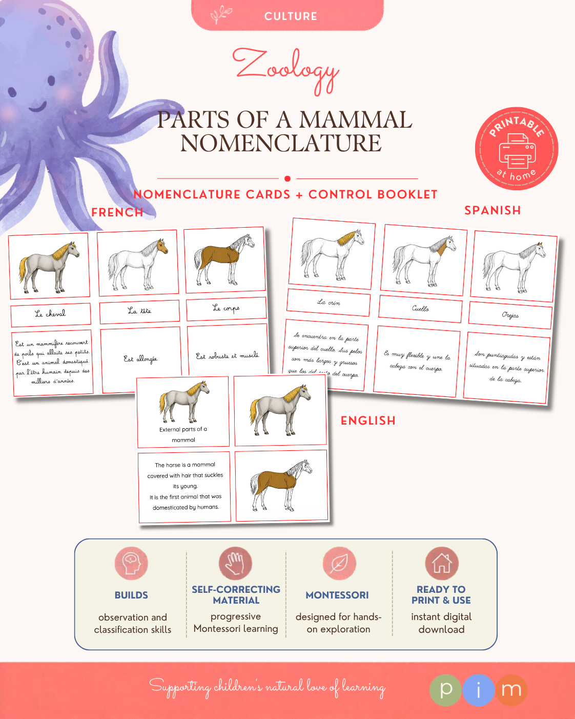 09. Mammal External Anatomy Nomenclature