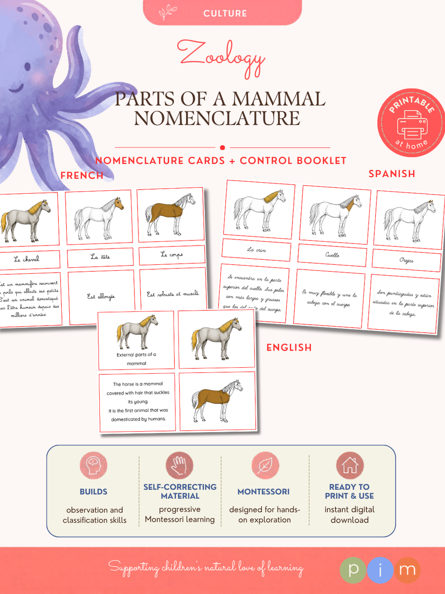 09. Mammal External Anatomy Nomenclature