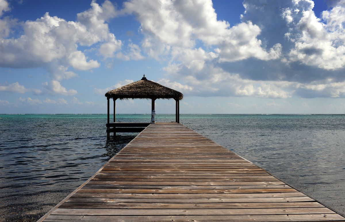 x 195_retouched_web.jpg