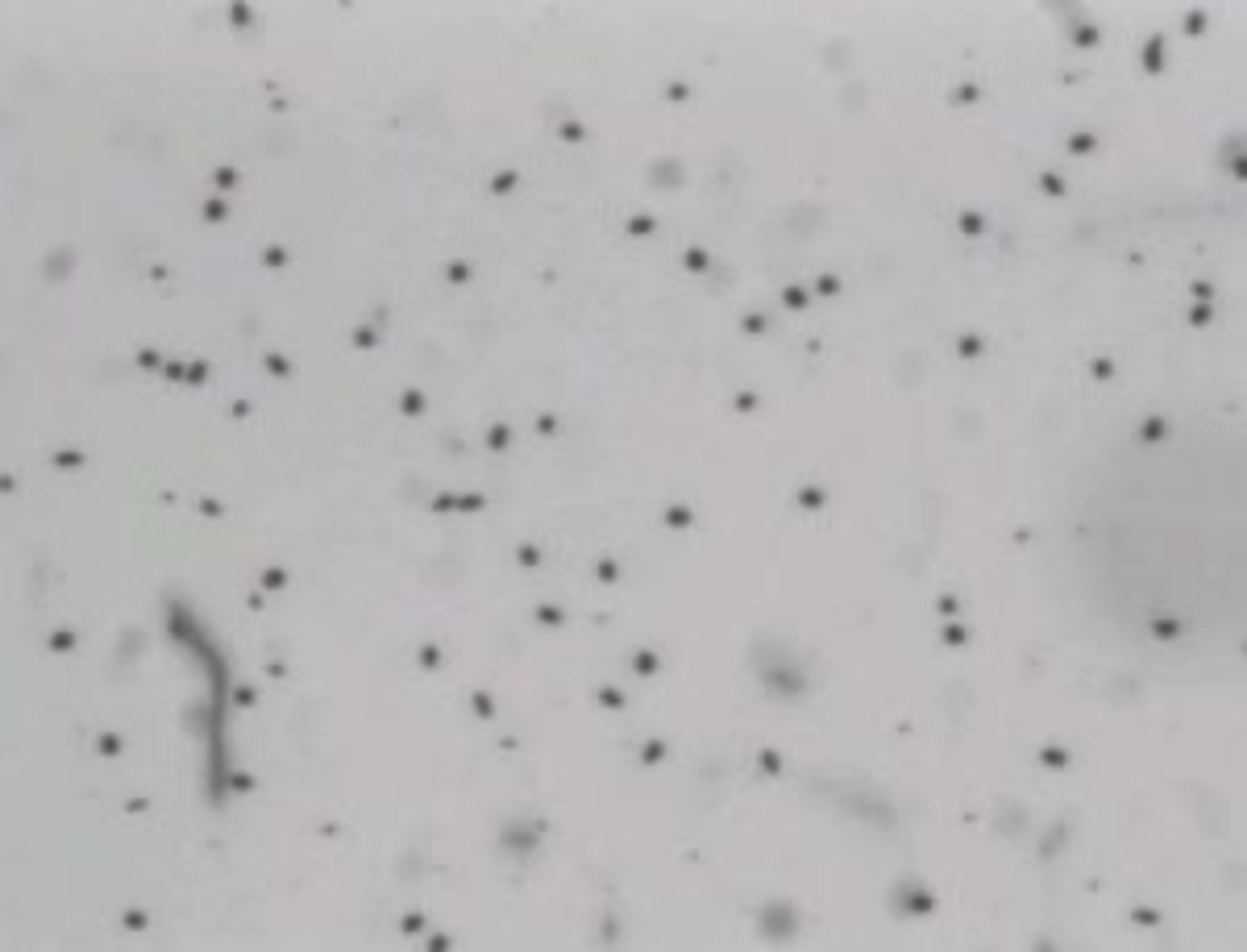 Article Header Image