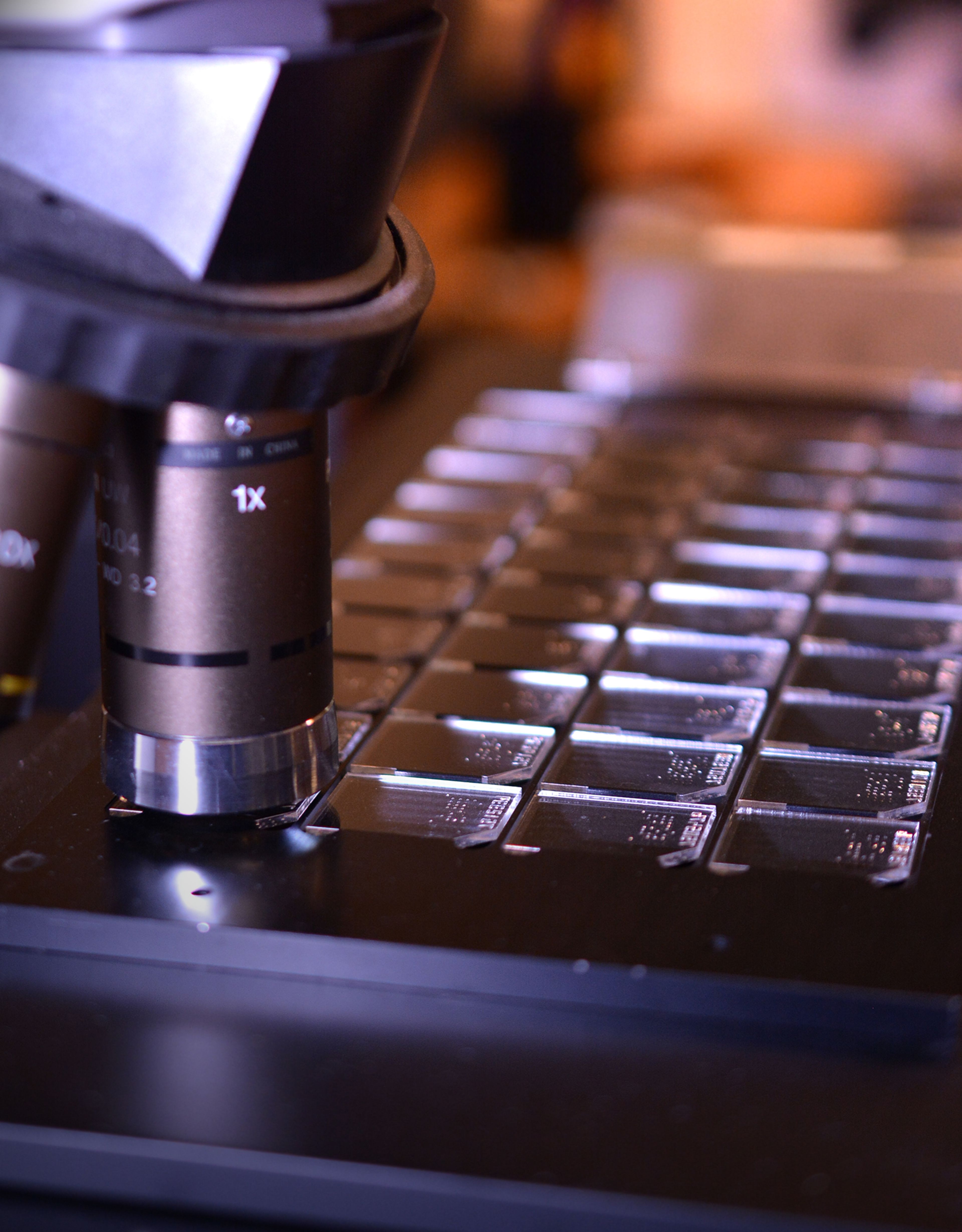 Article Header Image