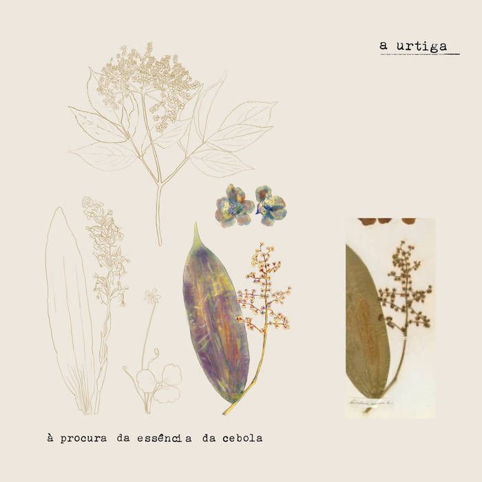 A urtiga