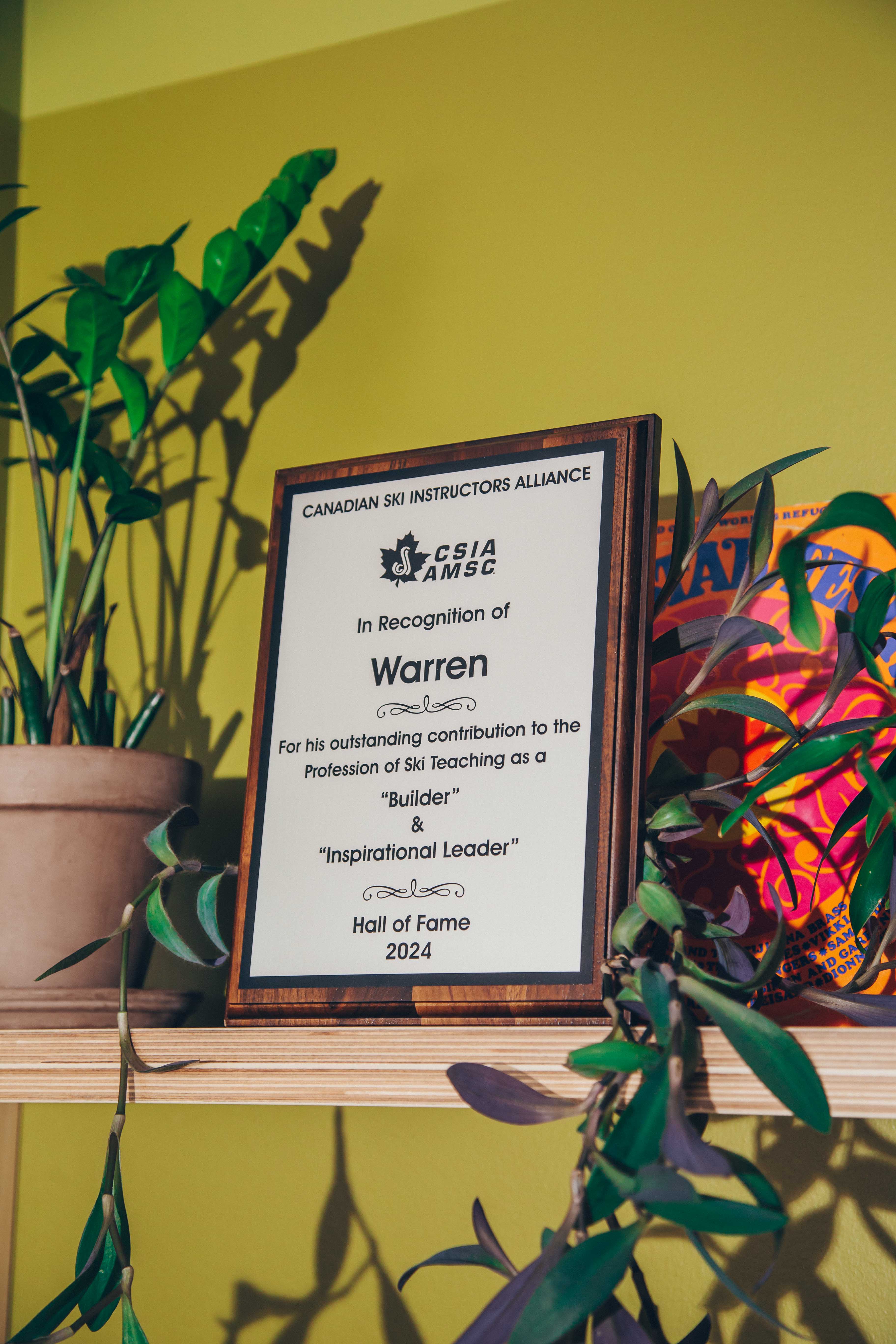 Award plaque from the Canadian Ski Instructors Alliance recognizing contributions to ski teaching, displayed on a shelf with plants.