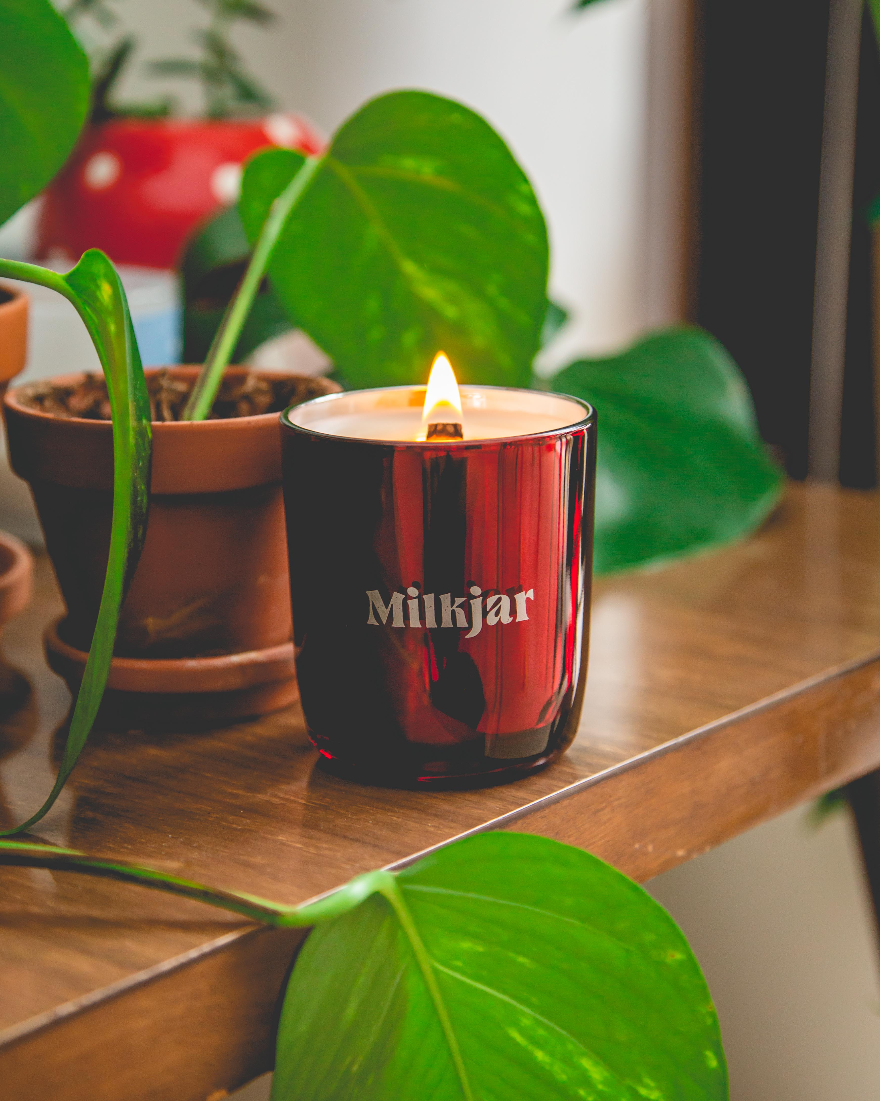 Red candle labeled 'Milkjar' on a wooden table surrounded by green potted plants.
