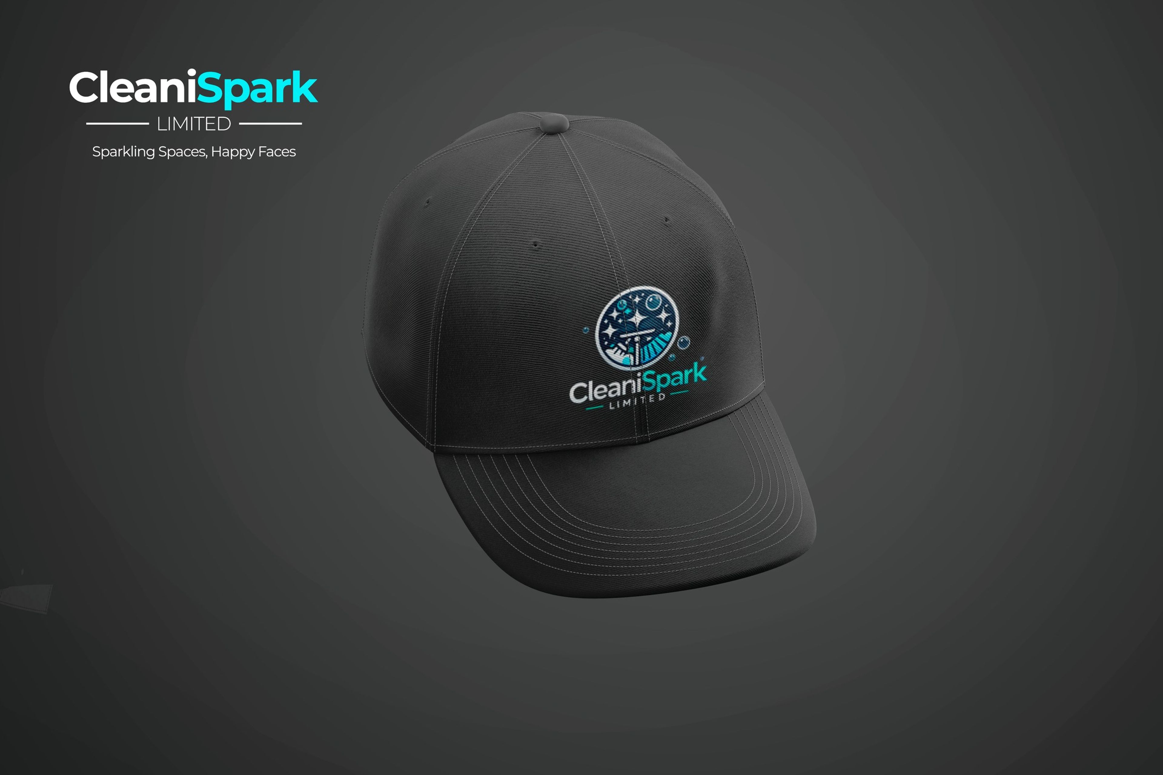 CleaniSpark identity 5