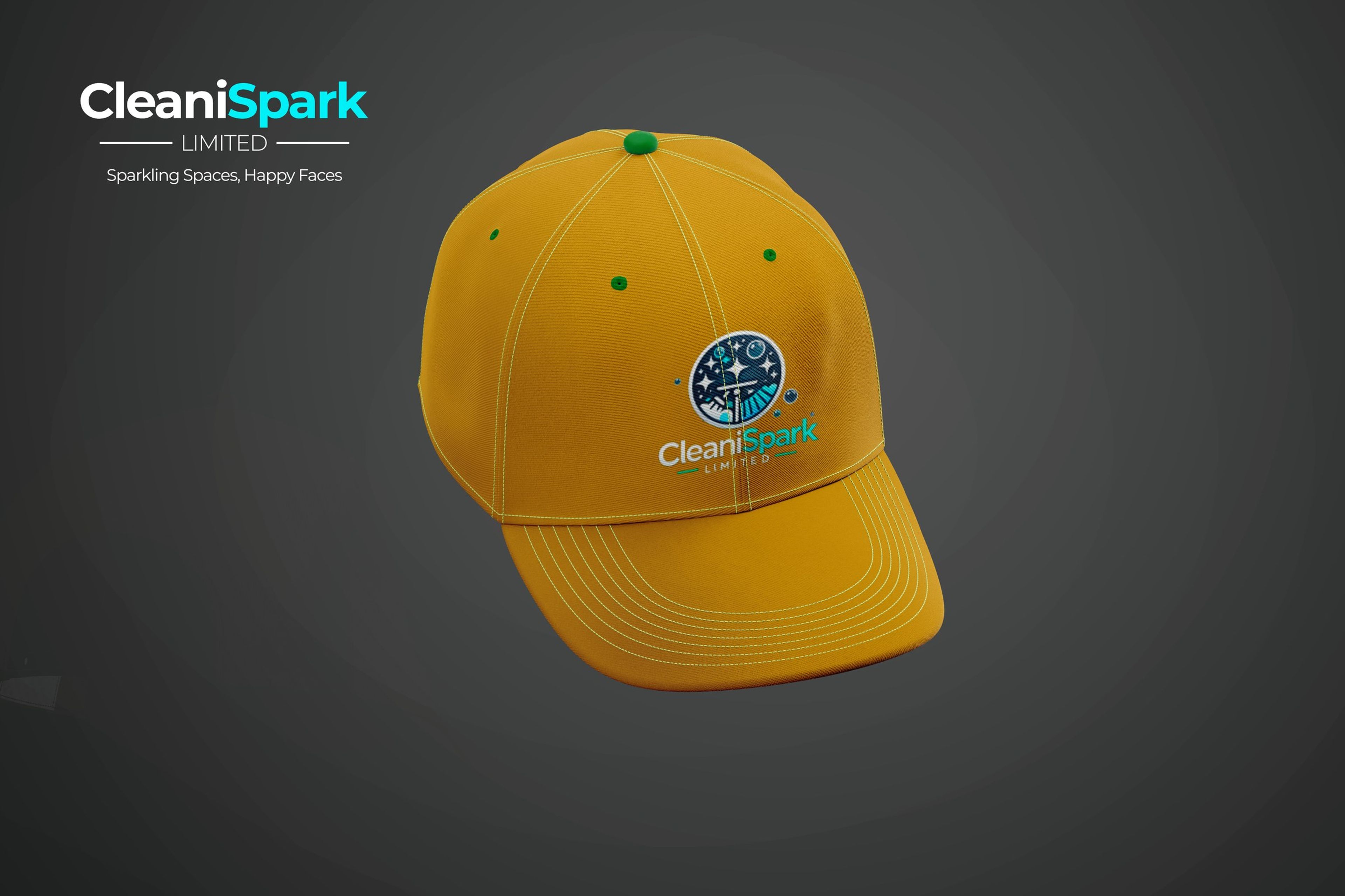 CleaniSpark identity 4