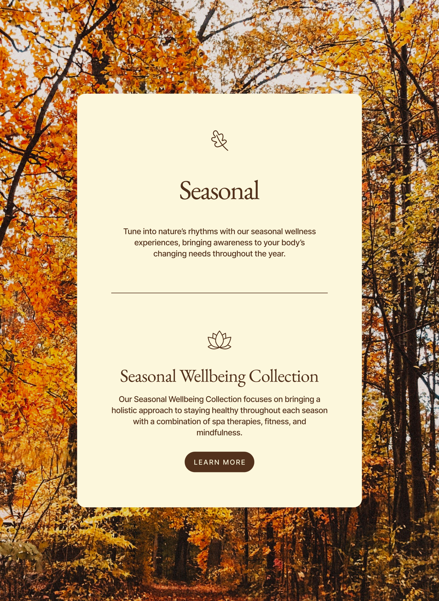 Information about the Seasonal Wellbeing Collection with Autumn Trees
