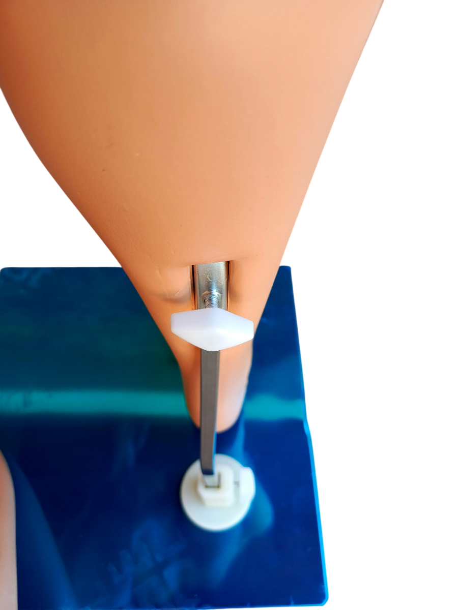 Maniquí de plástico de caballero cuerpo completo base de metal - Miniatura 4