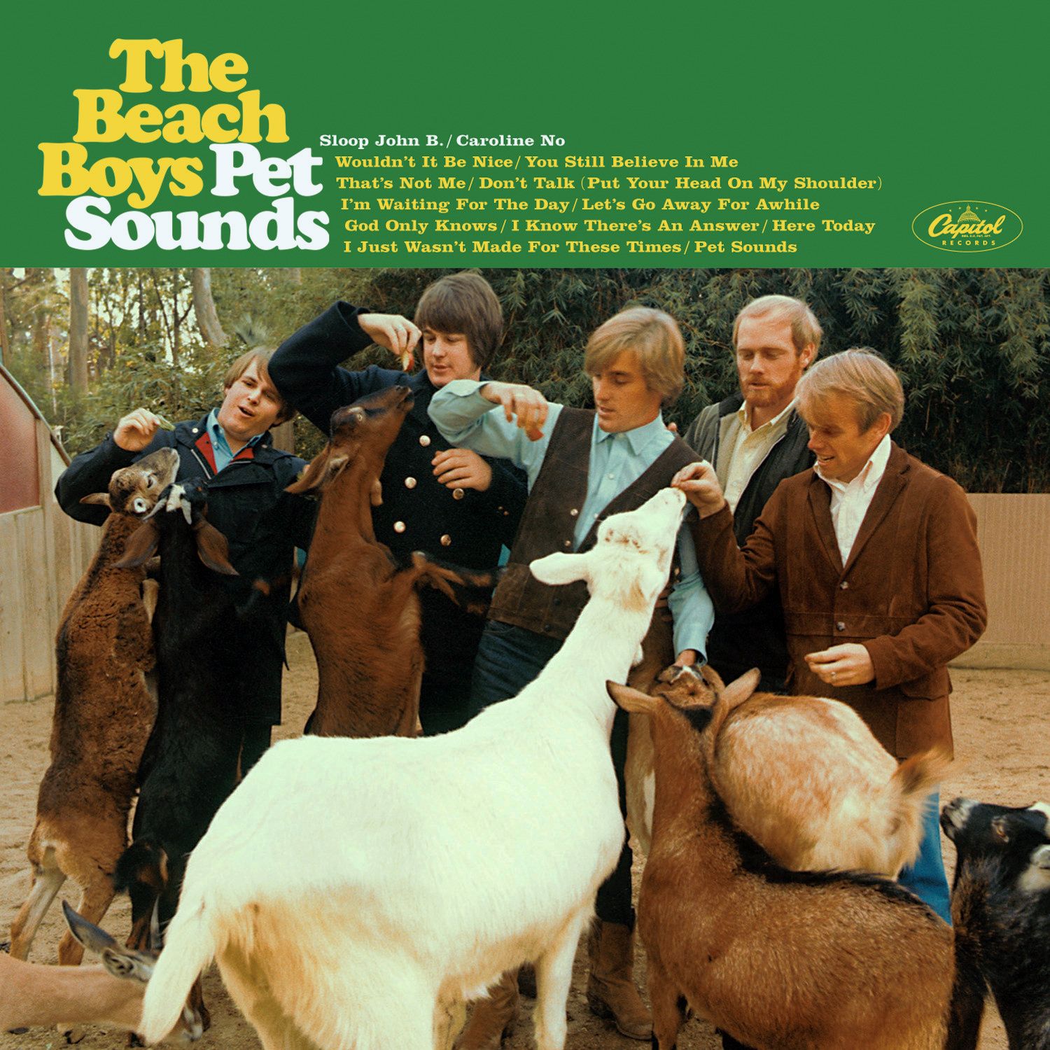 Ilustración del Disco del Mes — Pet Sounds
