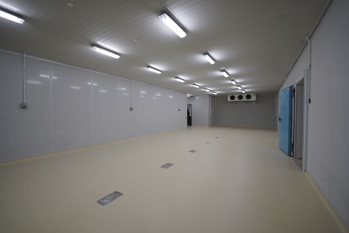 Pabrik Pengolahan Ikan Lombok - Sesudah