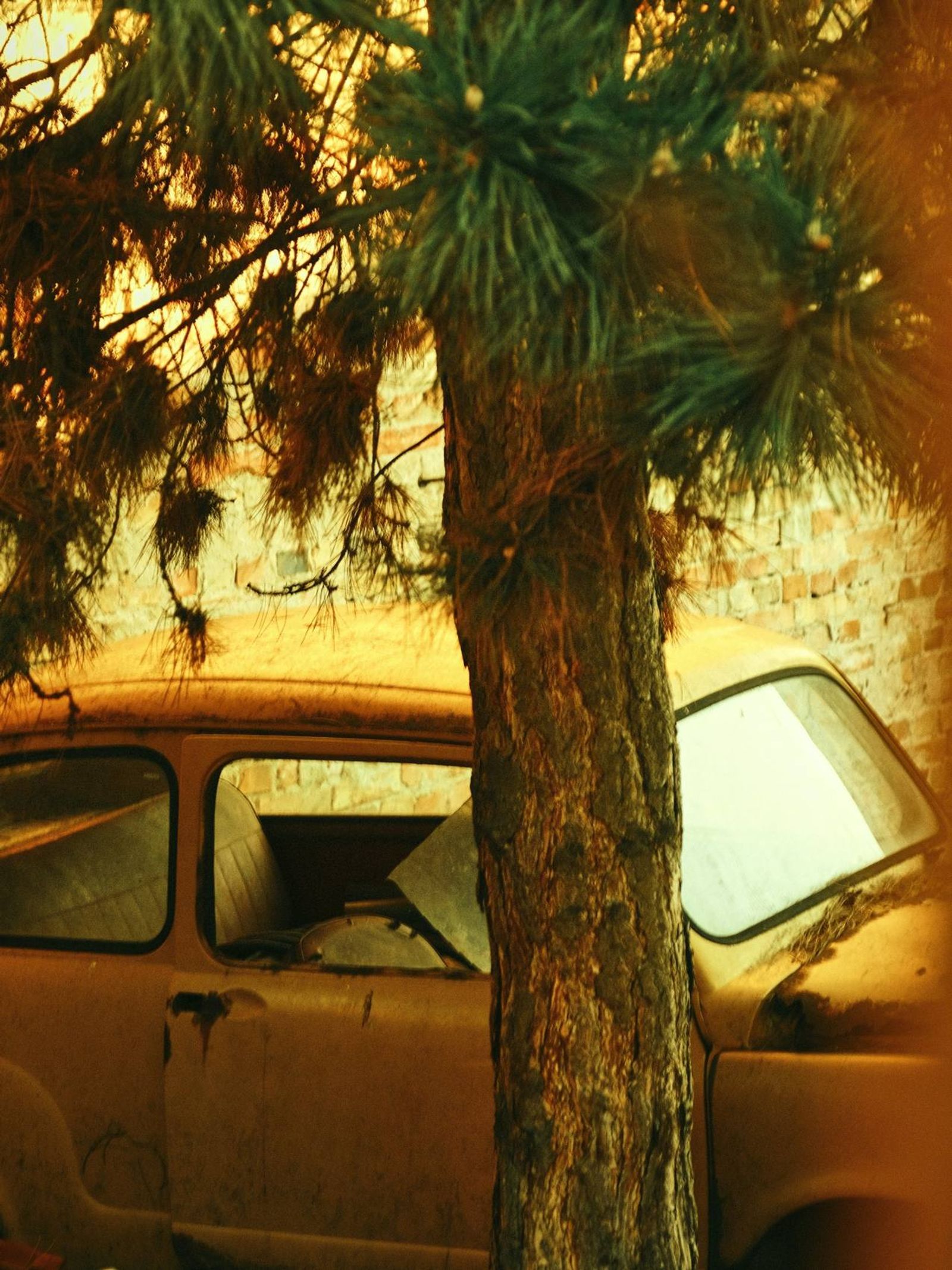 Image for Trendwolves.