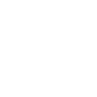 Vision