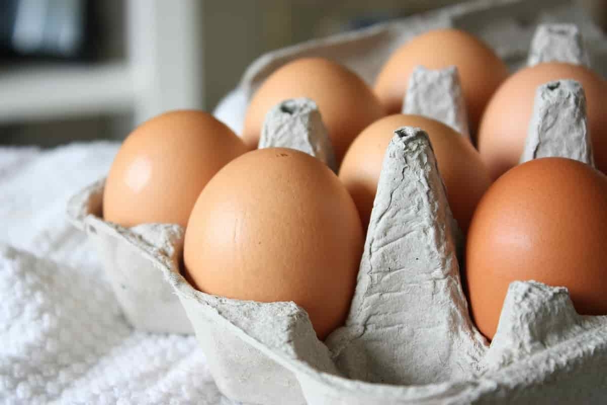 Do Eggs Really Expire? A Nutrition-Focused Guide to Egg Safety and Freshness