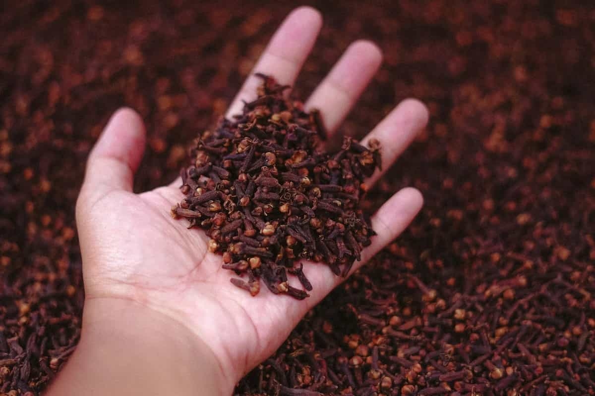 Cloves Benefits: Powerful Antioxidant and Anti-Inflammatory Uses