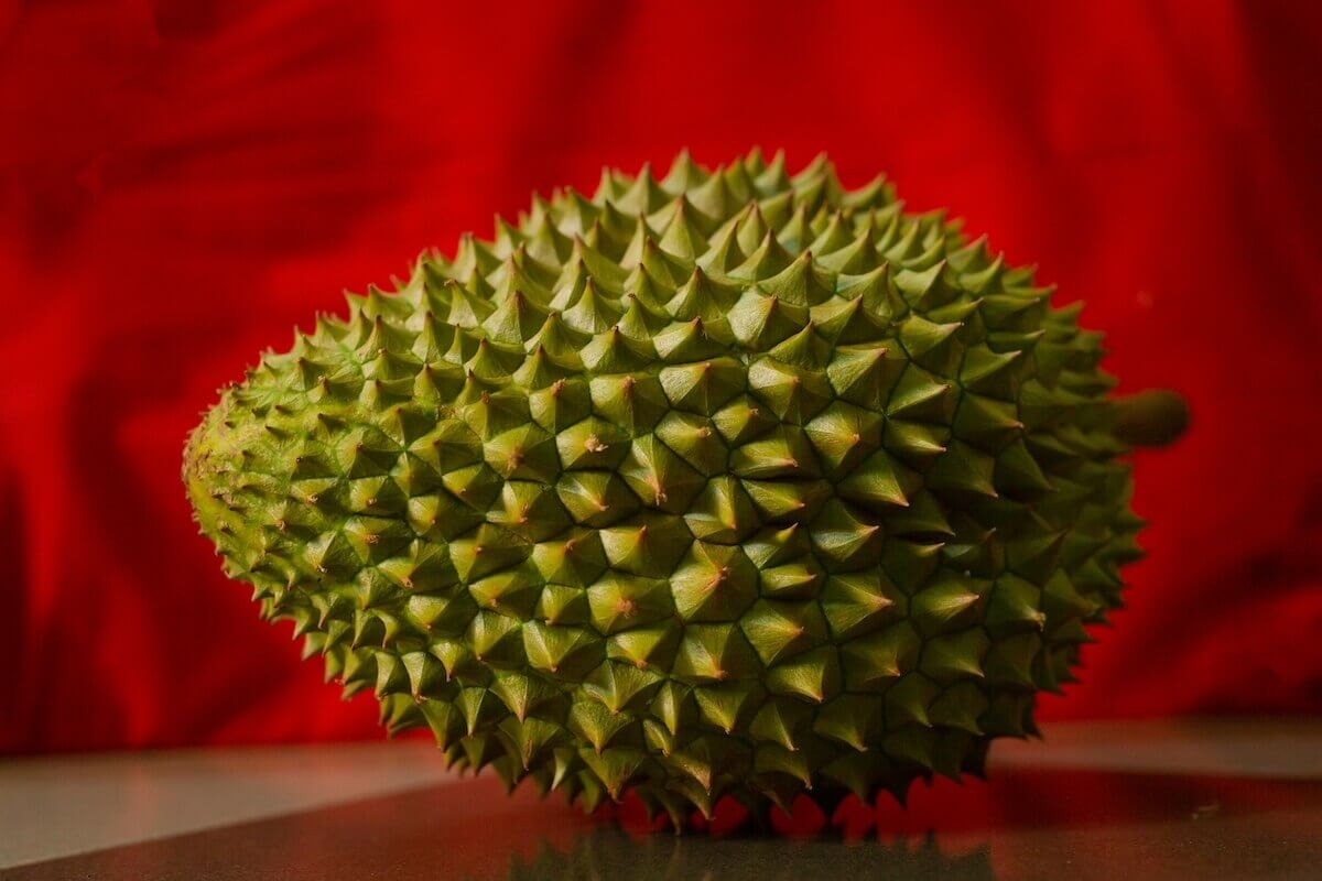 Durian Fruit