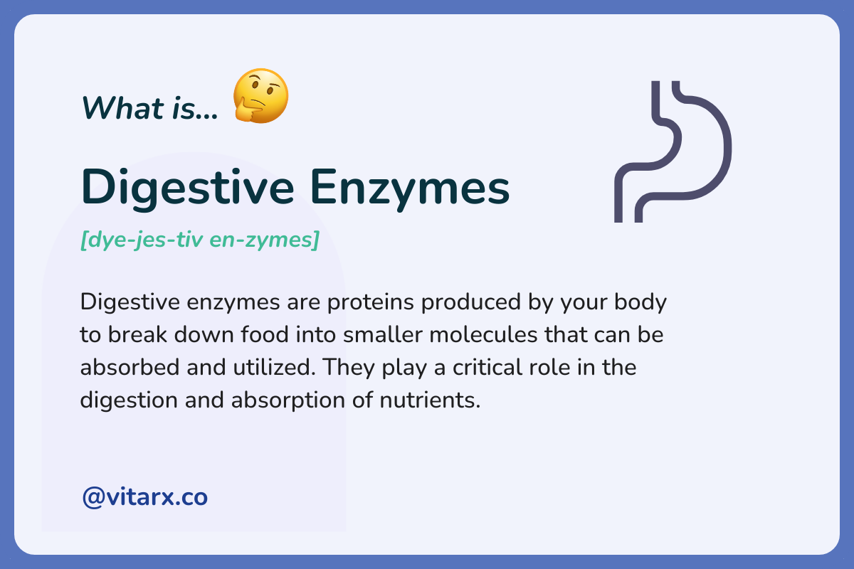 Digestive Enzymes: Digestive enzymes are proteins produced by your body to break down food into smaller molecules that can be absorbed and utilized. They play a critical role in the digestion and absorption of nutrients.