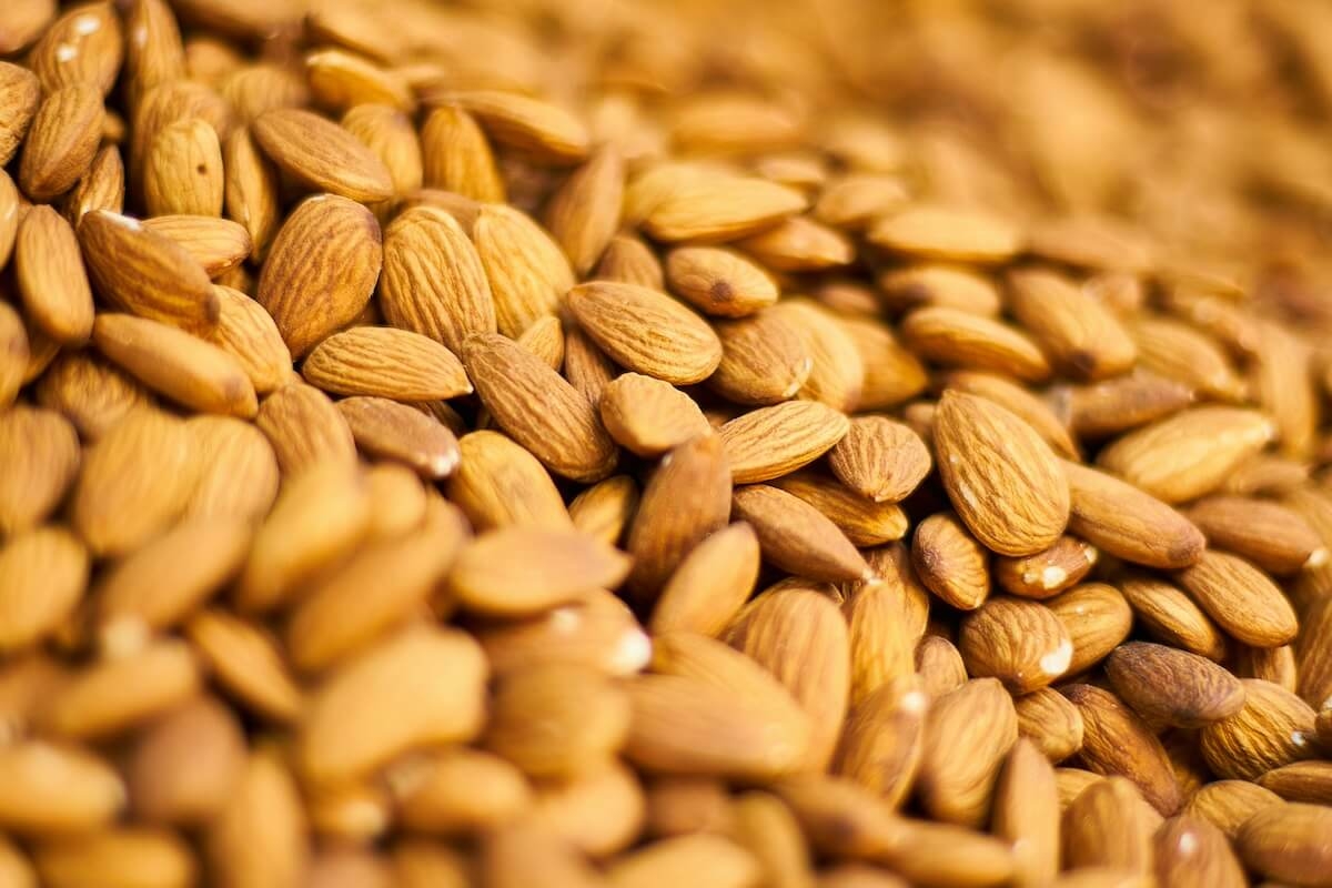 Almond Health Benefits