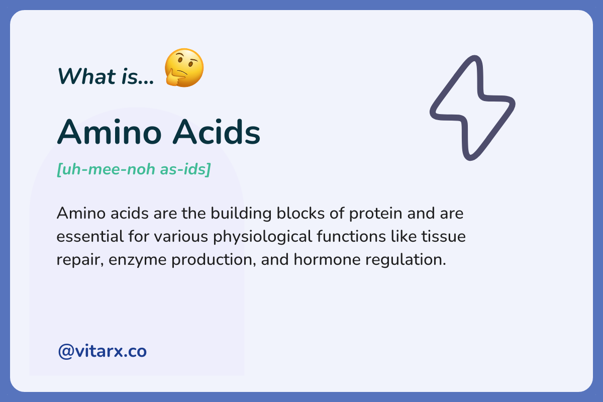 Amino Acids: Amino acids are the building blocks of protein and are essential for various physiological functions like tissue repair, enzyme production, and hormone regulation.