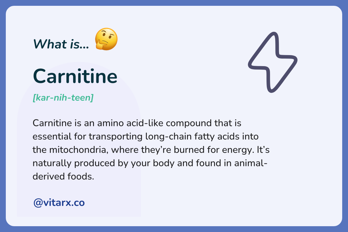 Carnitine: Carnitine is an amino acid-like compound that is essential for transporting long-chain fatty acids into the mitochondria, where they’re burned for energy. It’s naturally produced by your body and found in animal-derived foods.