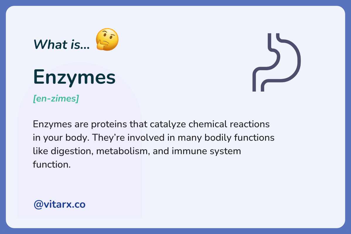 Enzymes: Enzymes are proteins that catalyze chemical reactions in your body. They’re involved in many bodily functions like digestion, metabolism, and immune system function.