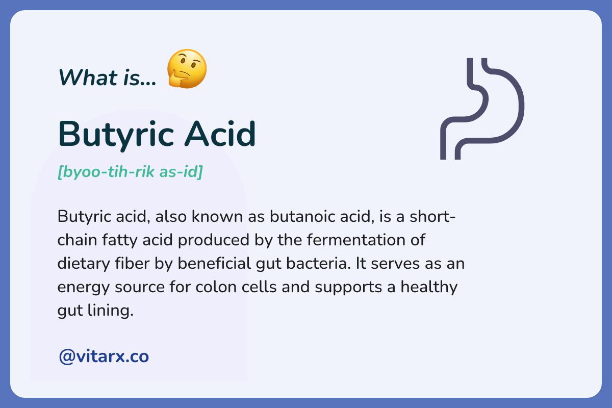 Butyric Acid: Butyric acid, also known as butanoic acid, is a short-chain fatty acid produced by the fermentation of dietary fiber by beneficial gut bacteria. It serves as an energy source for colon cells and supports a healthy gut lining.