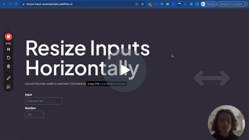 #101 - Redimensionner automatiquement la largeur d'entrée