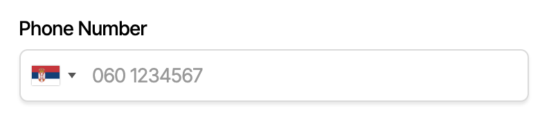 International Phone Number Input