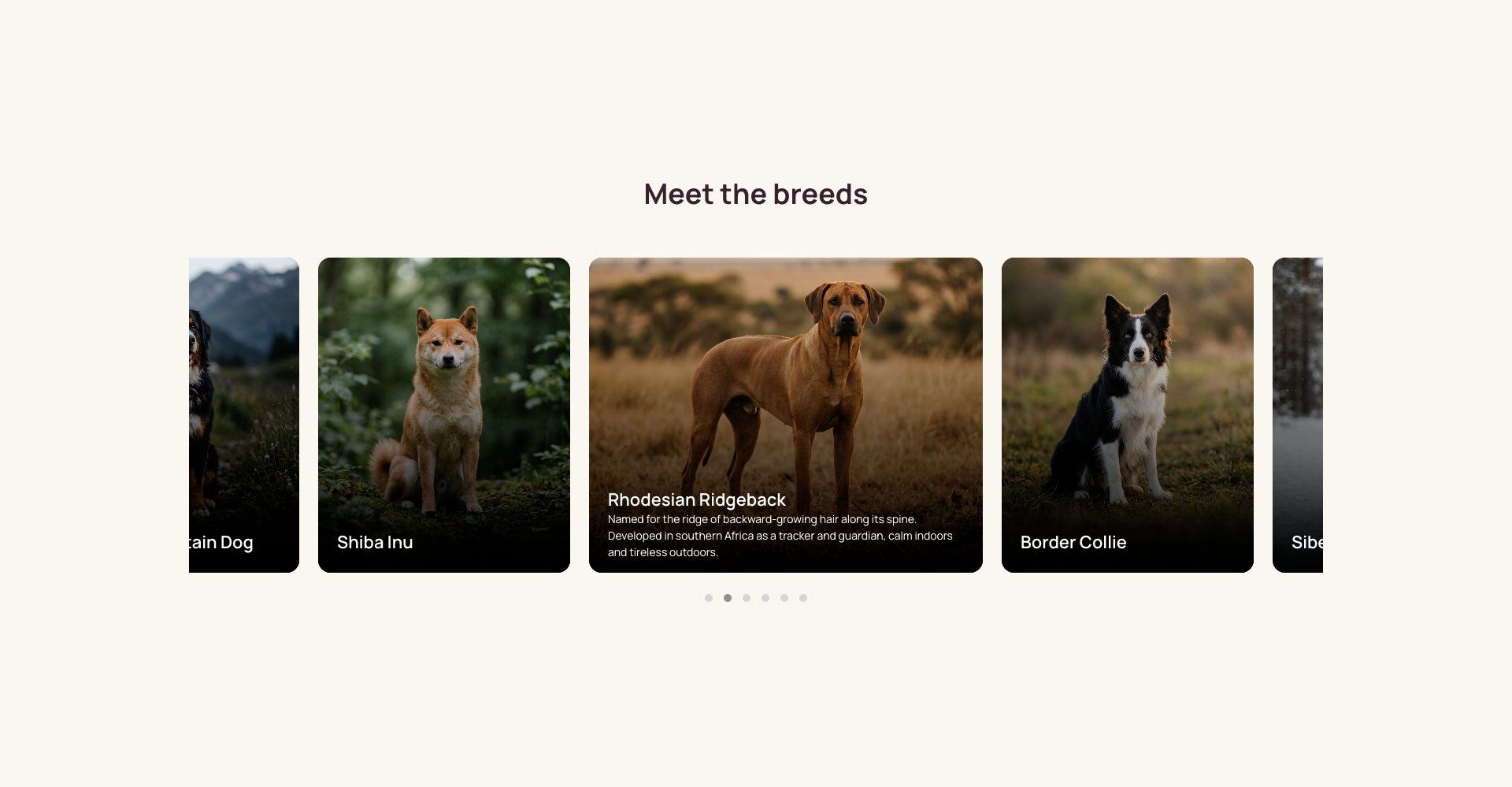 Expandable Animated Card Slider