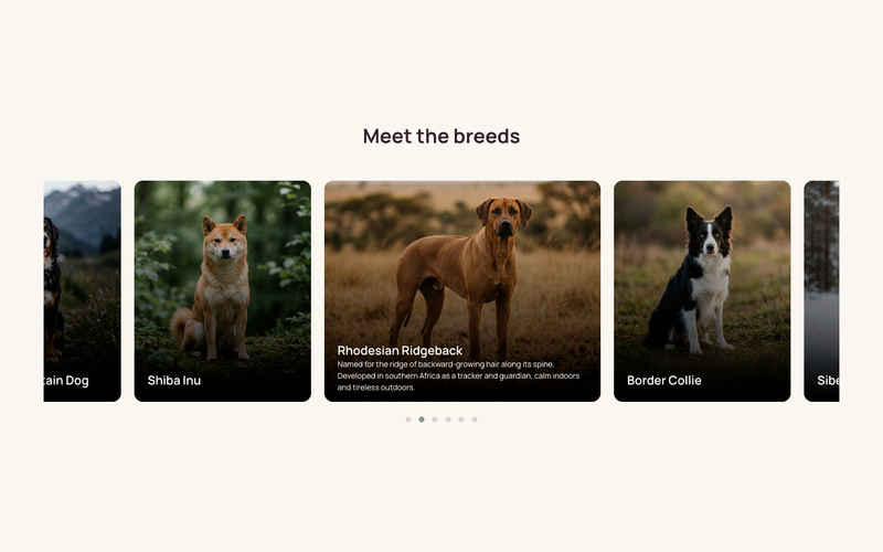 Expandable Animated Card Slider