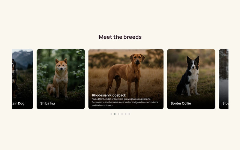 Expandable Animated Card Slider