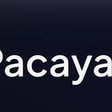 Pacaya Digital logo