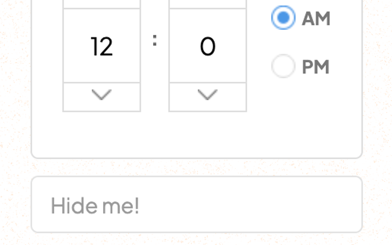 Time Picker Input