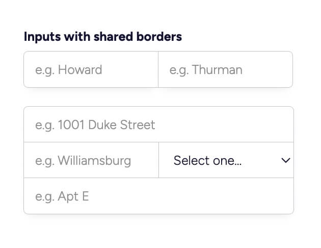 Input with Shared Borders