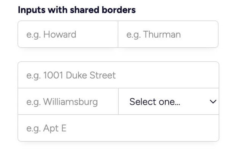 Input with Shared Borders