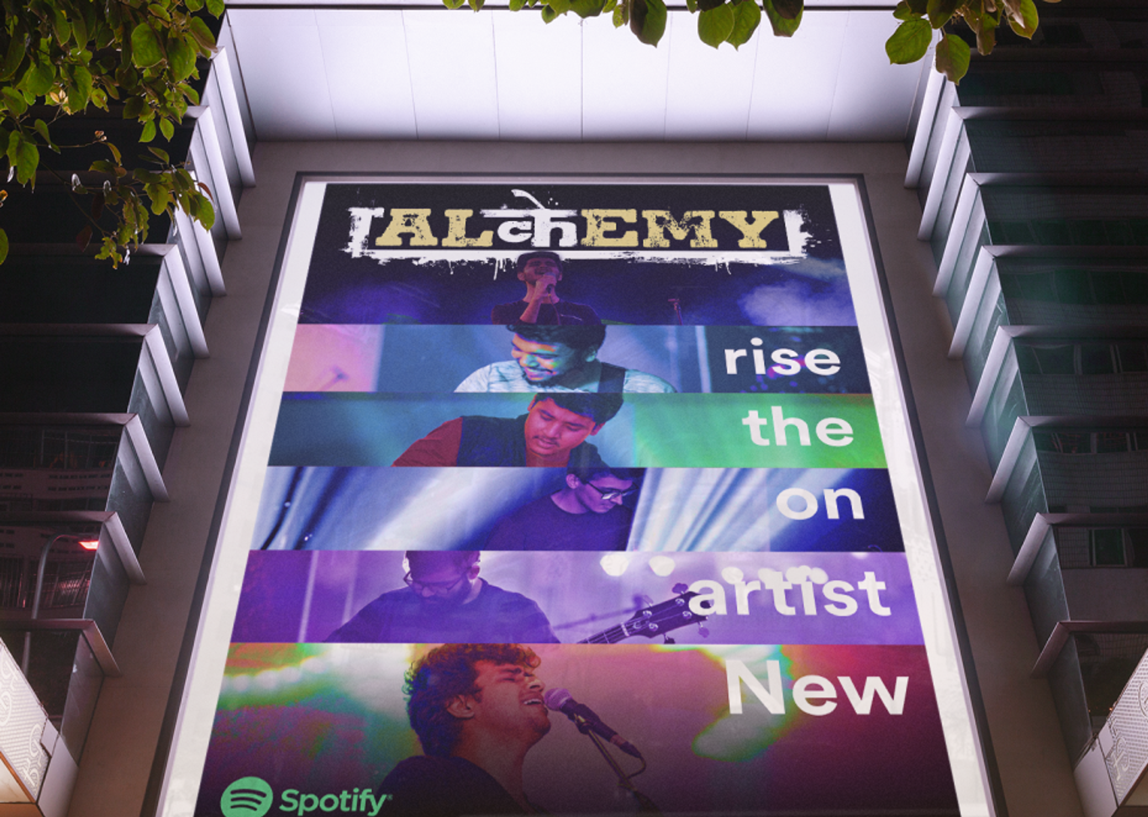 A fierce and unapologetic brand identity -banner